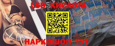 mdpv Будённовск
